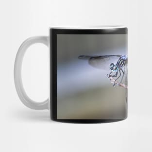 Wall Art - Dragonfly Resting - Art print Mug